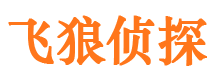 尼勒克侦探